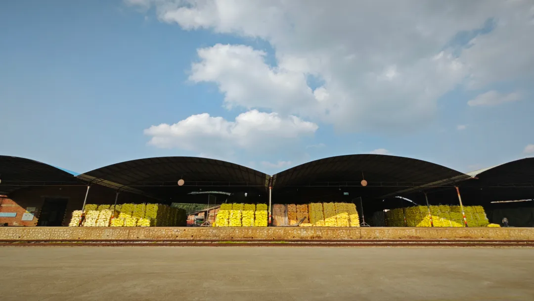 OB视讯·(中国游)官方网站