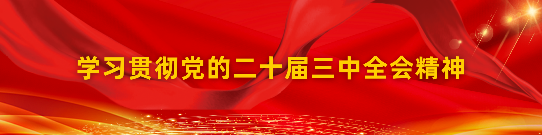 学习宣传贯彻党的二十届三中全会精神