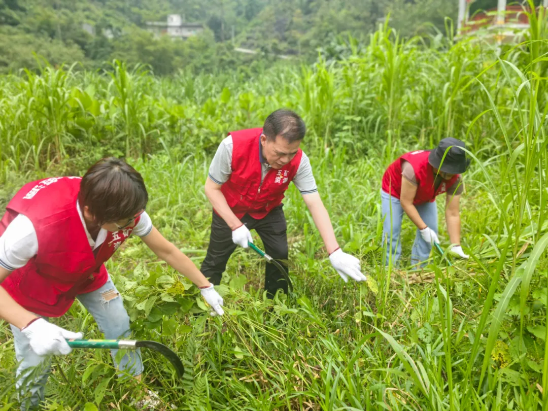 OB视讯·(中国游)官方网站